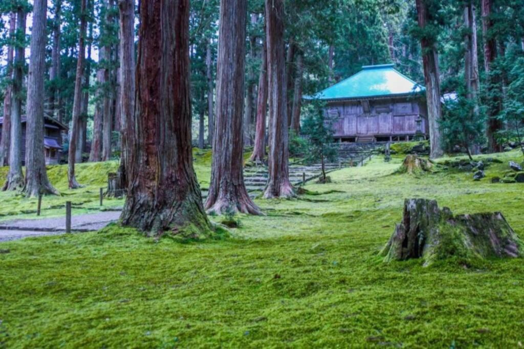 秘密基地: BBQと恐竜博物館近くの貸切別荘 Katsuyama Exterior photo